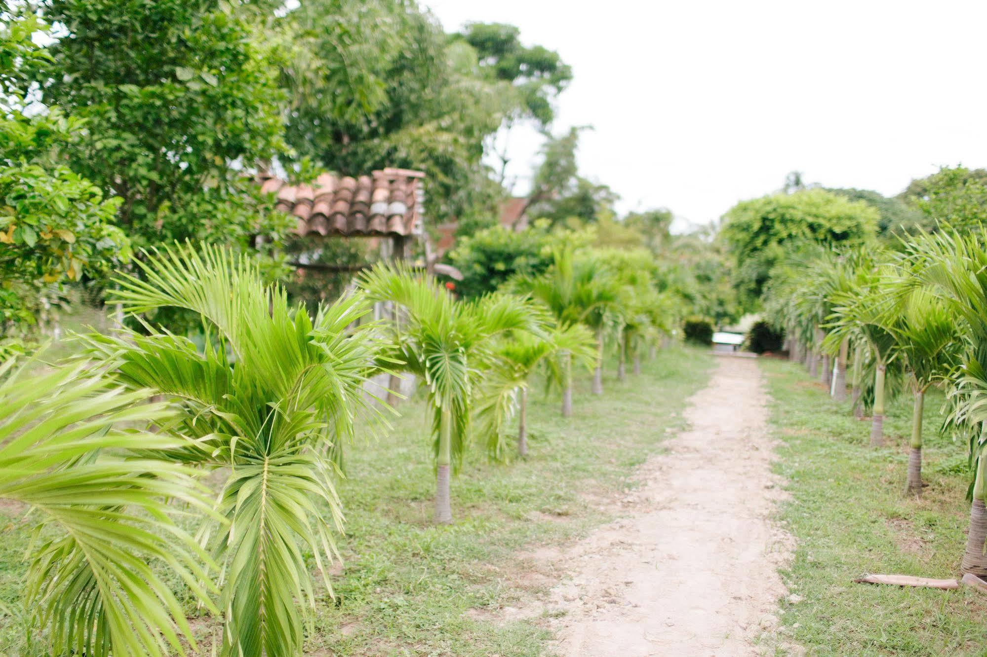 Hotel Hamacas ริวาส ภายนอก รูปภาพ